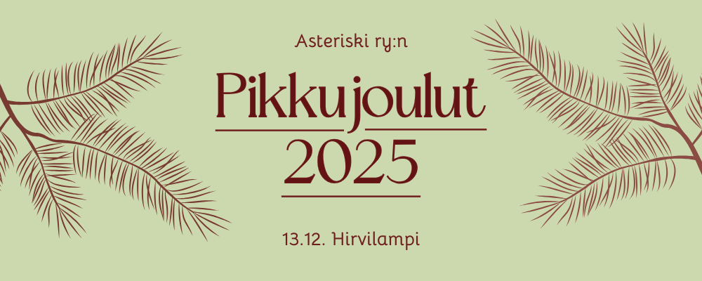 Asteriskin pikkujoulut 2025 // Asteriski’s pre-Christmas party 2025