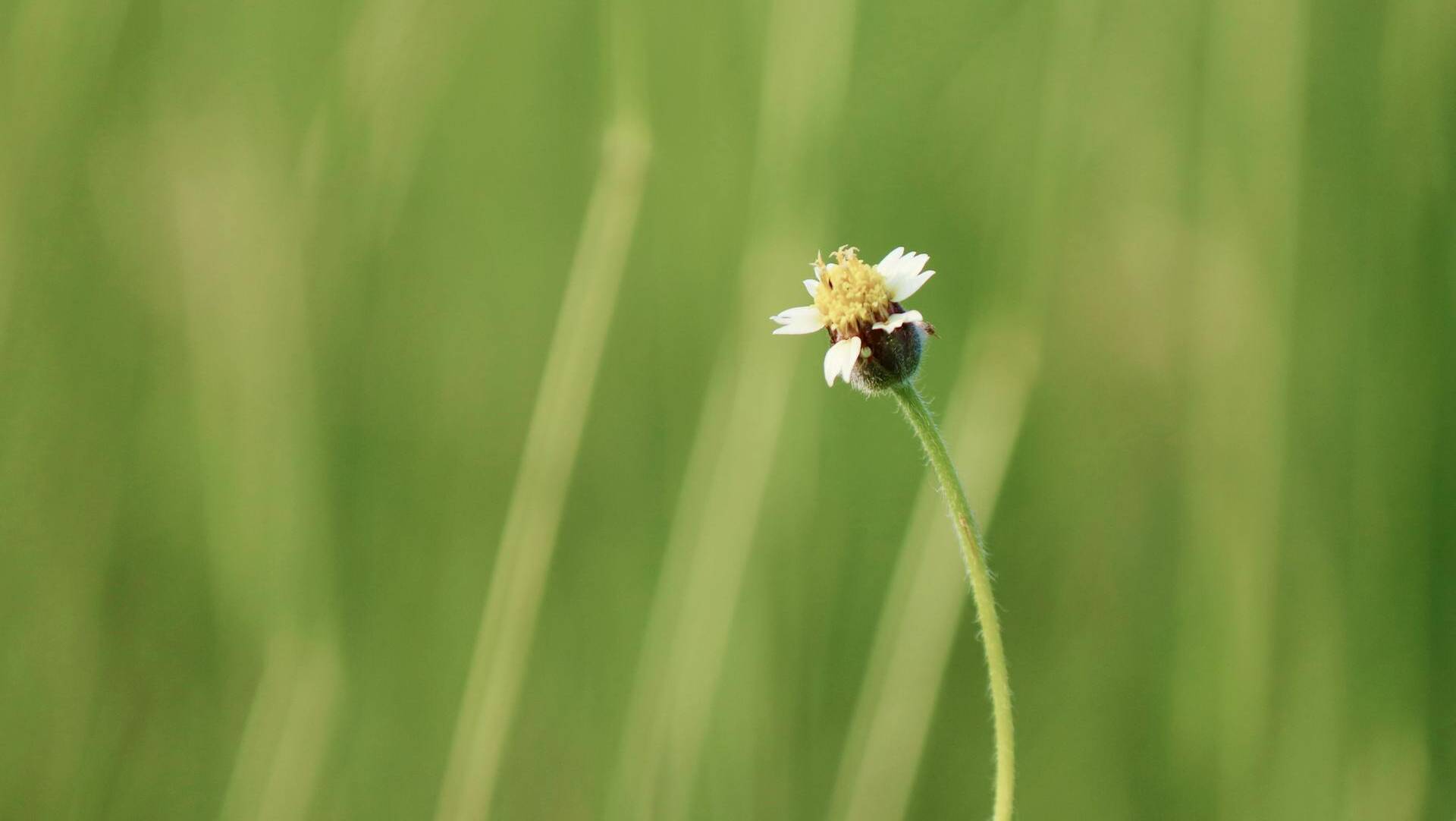 Viikko 49 & Mailikooste // Week 49