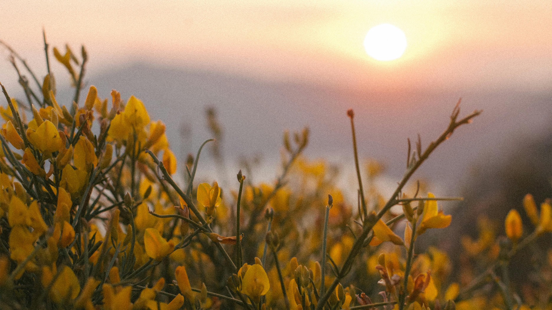 Viikko 8 & Mailikooste // Week 8